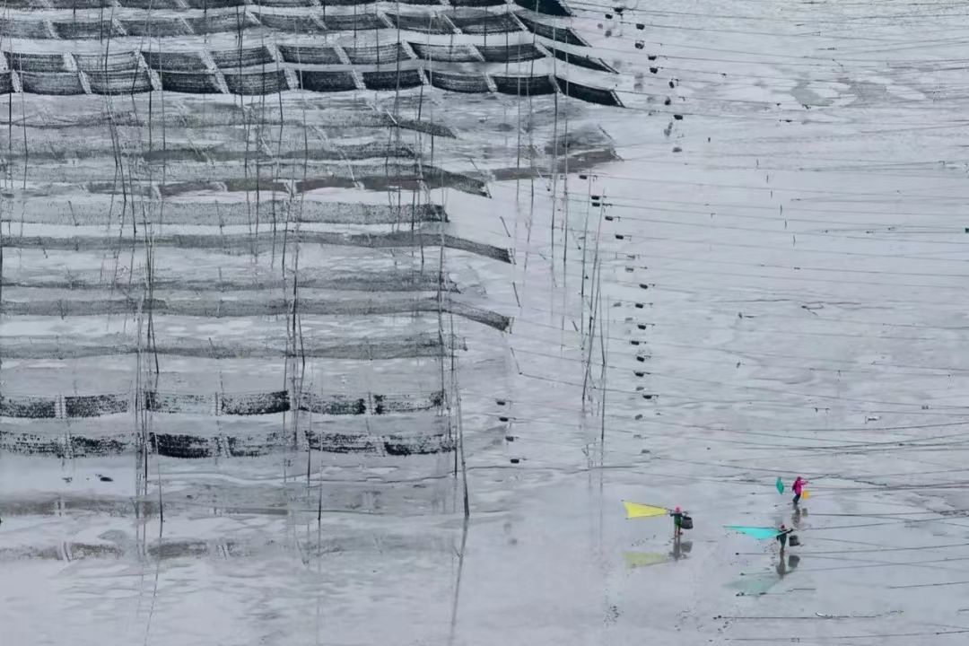 23042009581348053.jpg