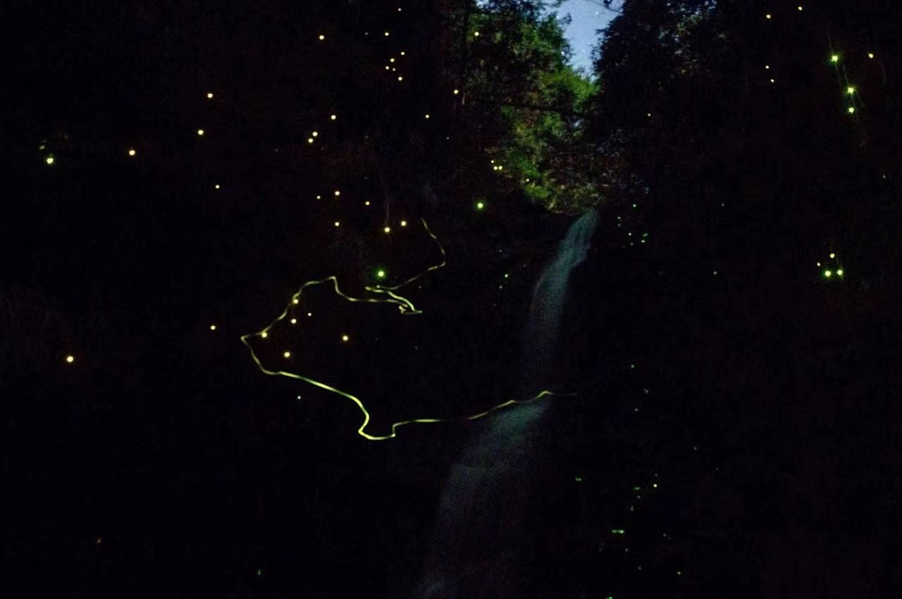 23042410590480292.jpg