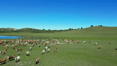 24050212112252403.gif