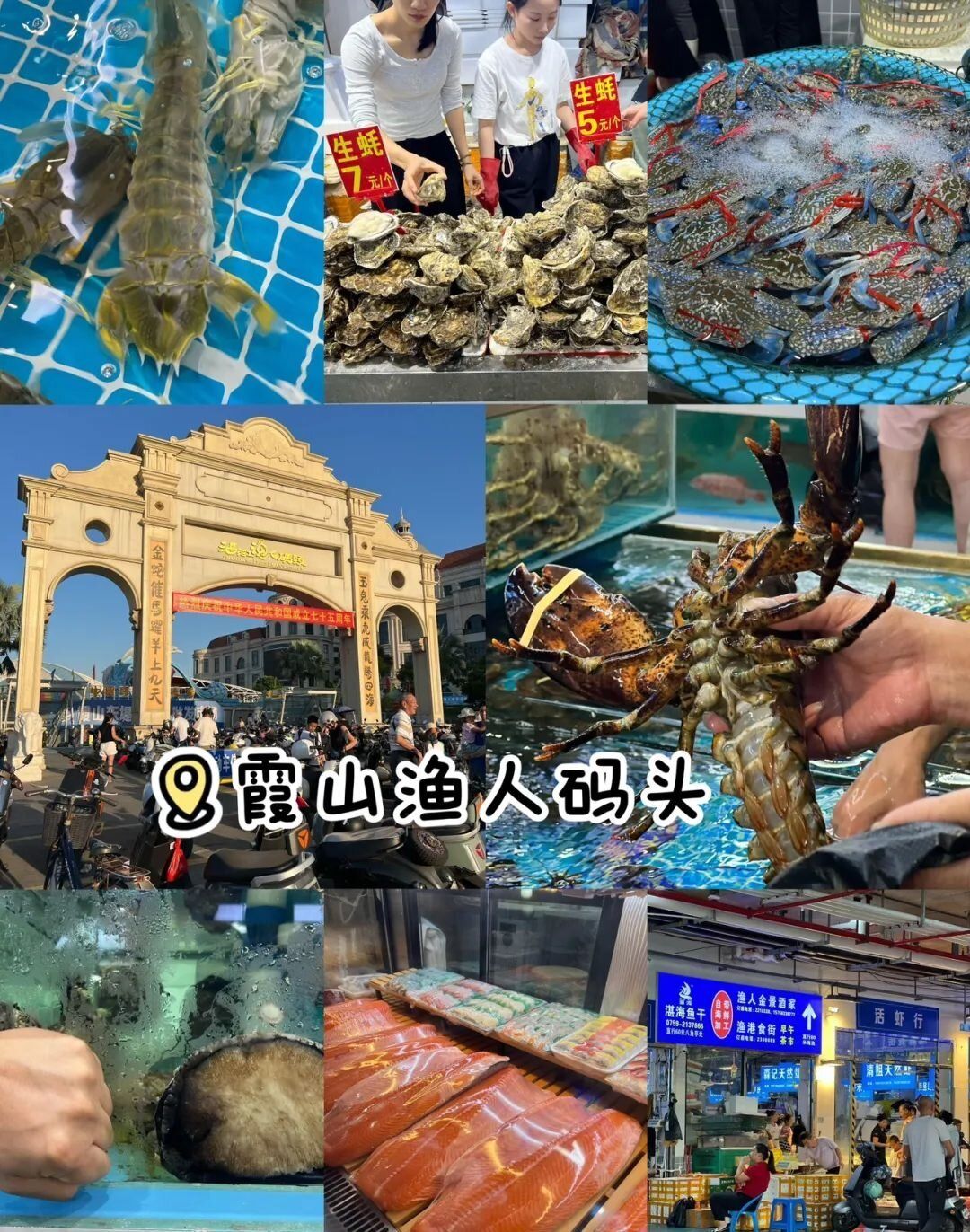 25081914191026638.jpg